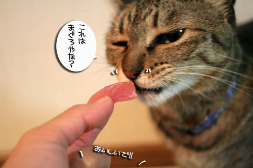 おいしいお顔は笑顔ね_d0355333_16482796.jpg