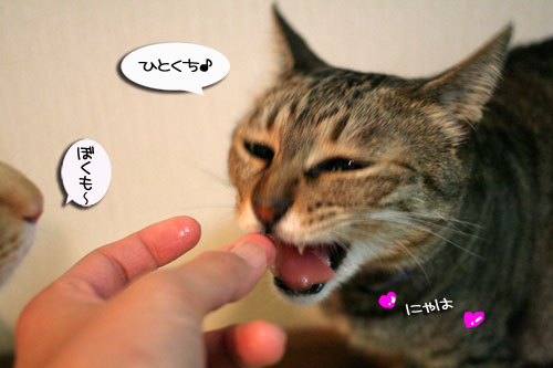 おいしいお顔は笑顔ね_d0355333_16482809.jpg
