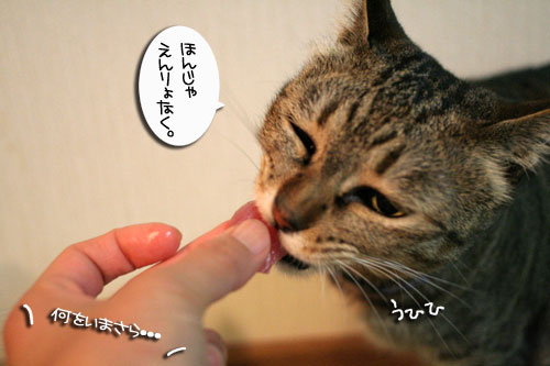 おいしいお顔は笑顔ね_d0355333_16482829.jpg