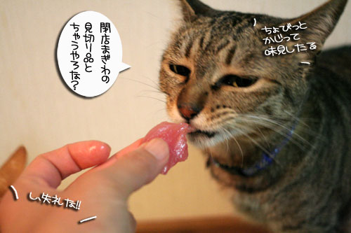 おいしいお顔は笑顔ね_d0355333_16482830.jpg