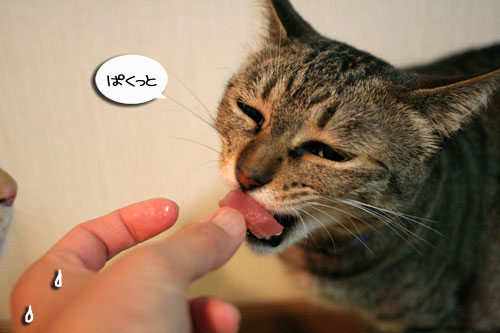 おいしいお顔は笑顔ね_d0355333_16482879.jpg