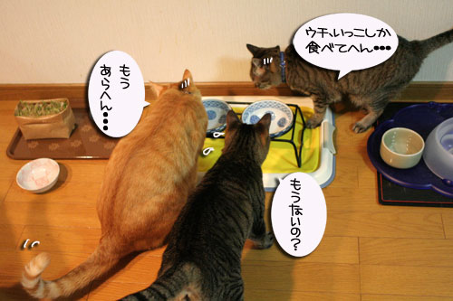 おいしいお顔は笑顔ね_d0355333_16482881.jpg