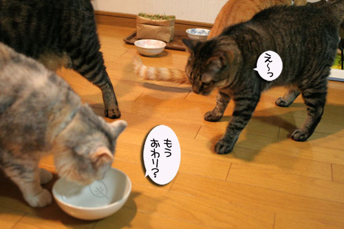 おいしいお顔は笑顔ね_d0355333_16482916.jpg