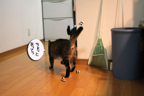 おいしいお顔は笑顔ね_d0355333_16482932.jpg