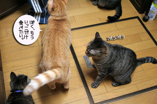 おいしいお顔は笑顔ね_d0355333_16483001.jpg