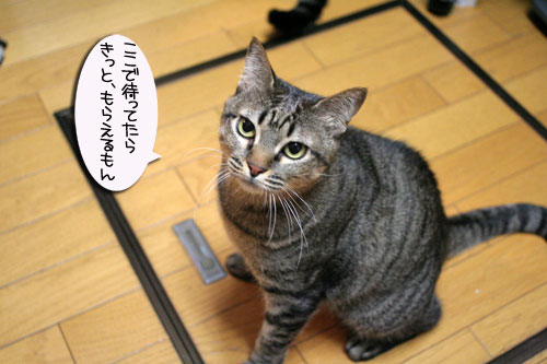 おいしいお顔は笑顔ね_d0355333_16483023.jpg