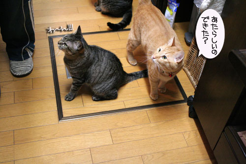 おいしいお顔は笑顔ね_d0355333_16483033.jpg