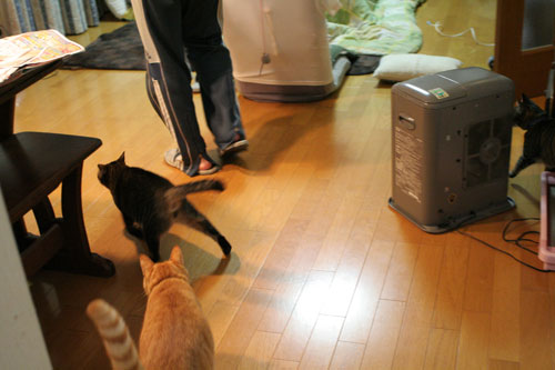 おいしいお顔は笑顔ね_d0355333_16483097.jpg