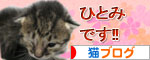 赤ちゃん猫発見!_d0355333_16483530.jpg