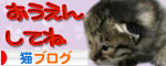 赤ちゃん猫★体重増えたよ!_d0355333_16484409.jpg