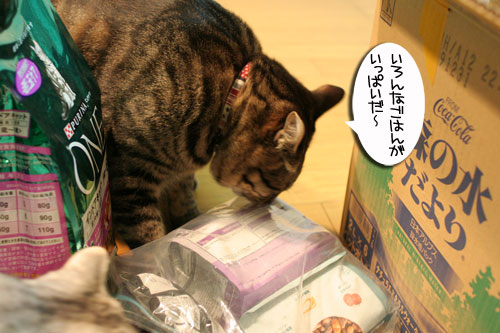 頂きものに飛びつくおいしい笑顔_d0355333_16494641.jpg
