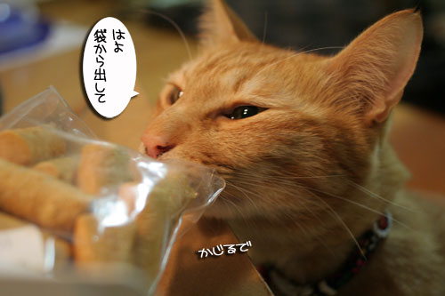 頂きものに飛びつくおいしい笑顔_d0355333_16494688.jpg