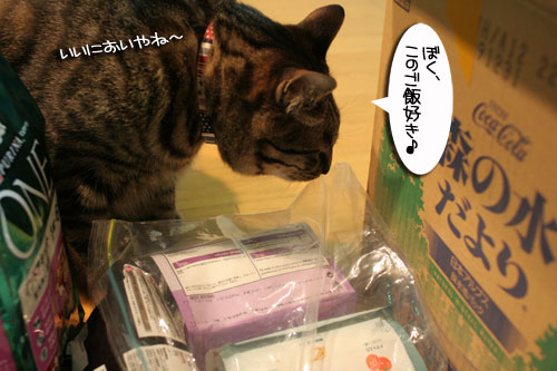 頂きものに飛びつくおいしい笑顔_d0355333_16494690.jpg