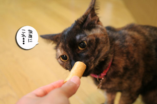 頂きものに飛びつくおいしい笑顔_d0355333_16494826.jpg