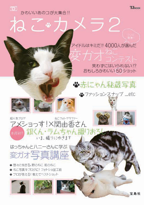 赤ちゃん猫★写真いっぱい!_d0355333_16495766.jpg