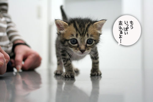 今日は病院だよ_d0355333_16501217.jpg