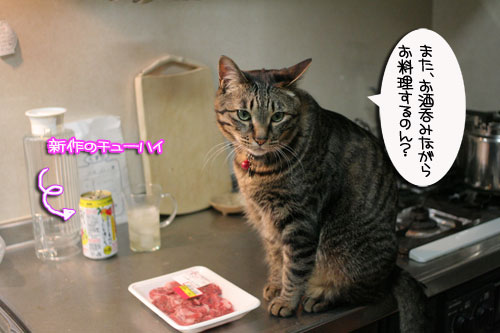 遅くなる日は、これでOK★赤ちゃん猫動画つき_d0355333_16501413.jpg