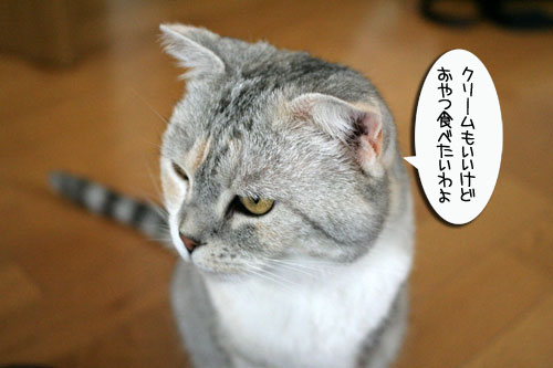 お客さまが来たよ★おやつ編_d0355333_16502251.jpg