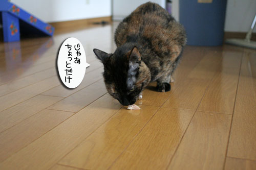 お客さまが来たよ★おやつ編_d0355333_16502362.jpg