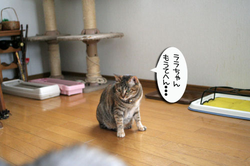 お客さまが来たよ★おやつ編_d0355333_16502369.jpg