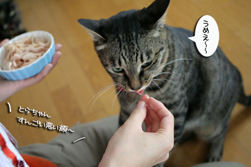 お客さまが来たよ★おやつ編_d0355333_16502378.jpg