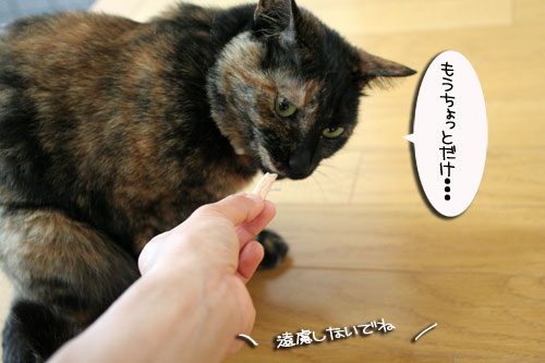 お客さまが来たよ★おやつ編_d0355333_16502402.jpg