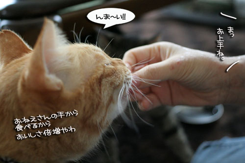 お客さまが来たよ★おやつ編_d0355333_16502422.jpg