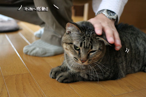 お客さまが来たよ★おやつ編_d0355333_16502548.jpg