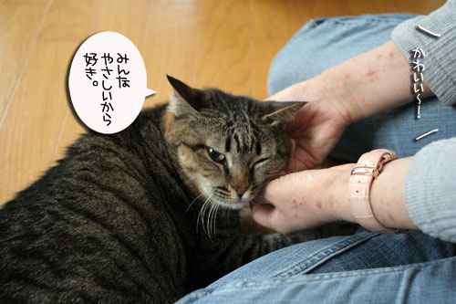 お客さまが来たよ★おやつ編_d0355333_16502568.jpg
