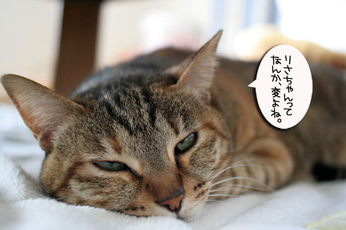 こだわり派_d0355333_16503327.jpg