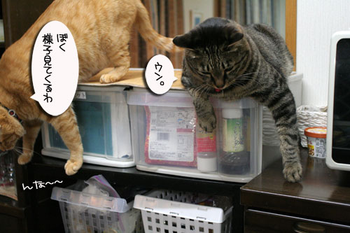 名古屋名物の・・・_d0355333_16503537.jpg