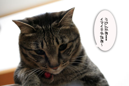 名古屋名物の・・・_d0355333_16503542.jpg