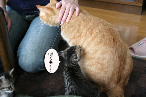 お客さんが来てワクワク_d0355333_16505225.jpg
