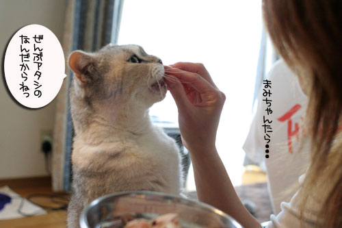お客さんが来てワクワク_d0355333_16505538.jpg