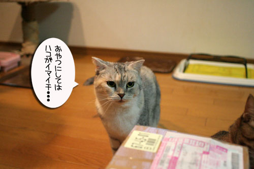 宅配便に集まるのは_d0355333_16510608.jpg