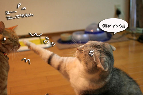 宅配便に集まるのは_d0355333_16510700.jpg