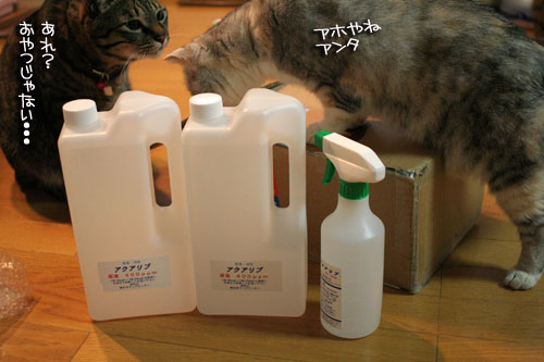宅配便に集まるのは_d0355333_16510795.jpg