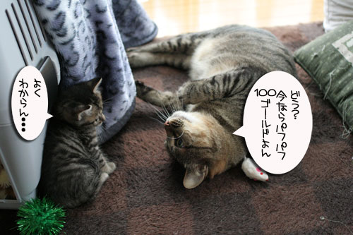 宅配便に集まるのは_d0355333_16510885.jpg