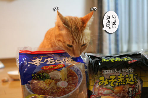 にゃごや名物★味噌煮込みうどんリベンジ!_d0355333_16515185.jpg