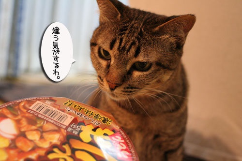 にゃごや名物★味噌煮込みうどんリベンジ!_d0355333_16515195.jpg