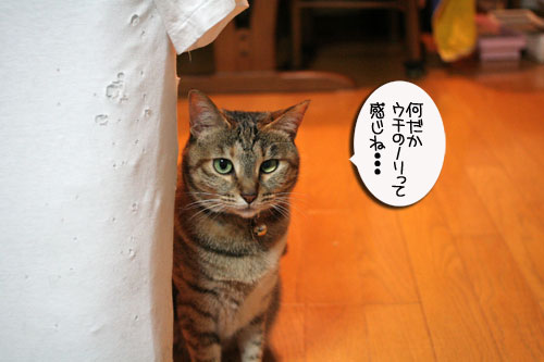 3ちび~ず合流!_d0355333_16520497.jpg
