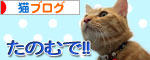 明日は100km走ります_d0355333_16521885.jpg