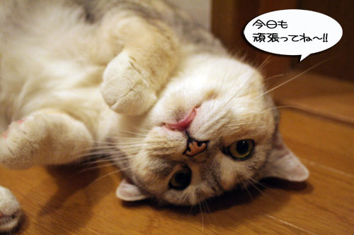 いってらっしゃい_d0355333_16530113.jpg