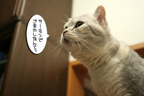 かに祭り_d0355333_16530488.jpg