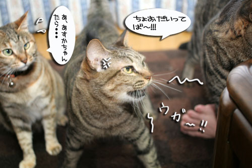 かに祭り_d0355333_16530678.jpg