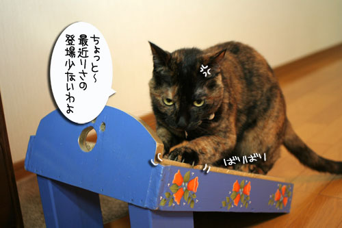 りさちゃん特集_d0355333_16533307.jpg