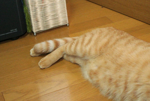 好感度ダウン_d0355333_16533713.jpg