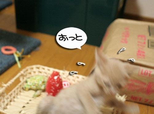 おもちゃの遊び方いろいろ_d0355333_16533964.jpg