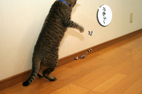 おもちゃの遊び方いろいろ_d0355333_16534168.jpg