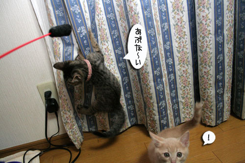 背後にご注意_d0355333_16534887.jpg